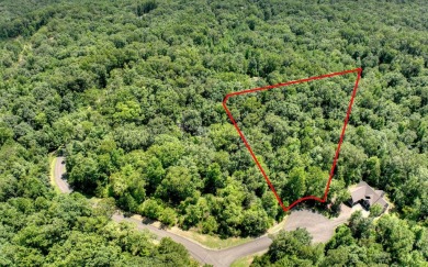 Lake Lot For Sale in Ellijay, Georgia