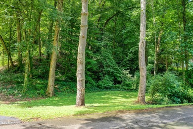 Fort Loudoun Lake Lot Sale Pending in Knoxville Tennessee