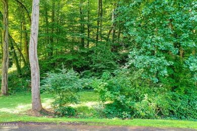 Come and build your dream home on this wooded & private lot with - photo 2