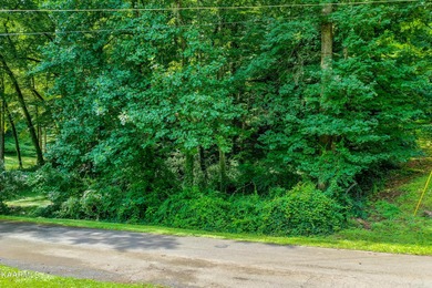 Come and build your dream home on this wooded & private lot with - photo 5