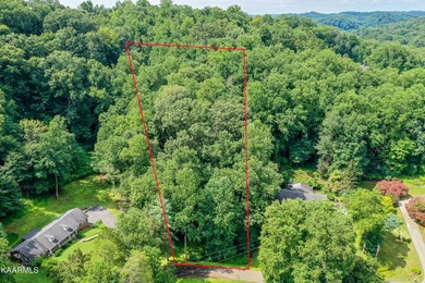Come and build your dream home on this wooded & private lot with - photo 7