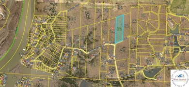 8.5 Acres Near Lake of the Ozarks - Clearwater Rd, Warsaw, MO - photo 3