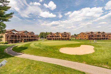 Castle Rock Lake Condo For Sale in Arkdale Wisconsin