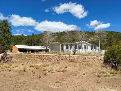 For the buyer seeking space, privacy, and the opportunity to - photo 2