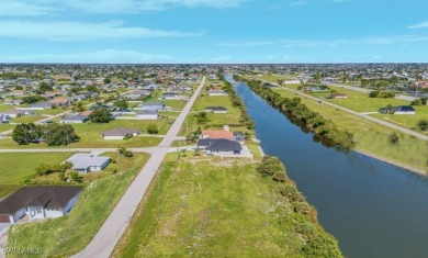 Create Your Private Waterfront Oasis with Direct Lake Meade - photo 5
