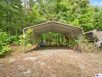 Furnished Cabin on Lake Barkley, KY
Seasonal Lake Views - photo 6