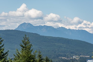 Architectural gem with stunning views of the Olympic Mountains - photo 29