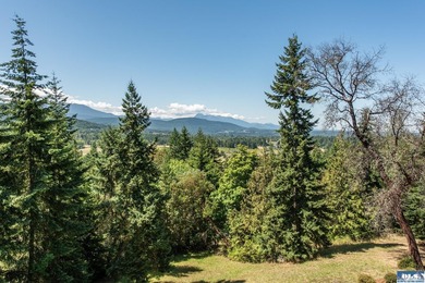 Architectural gem with stunning views of the Olympic Mountains - photo 38