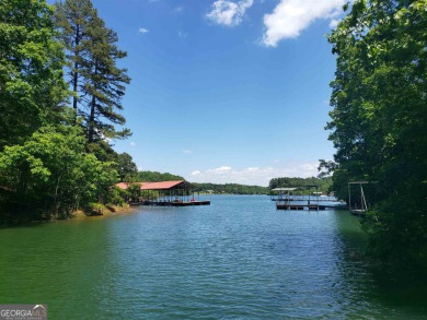 Lake Acreage For Sale in Lavonia, Georgia