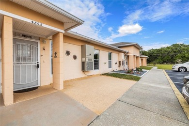 Lake Weohyakapka Home Sale Pending in Lakeshore Florida