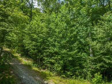 Lake Glenville Acreage For Sale in Glenville North Carolina