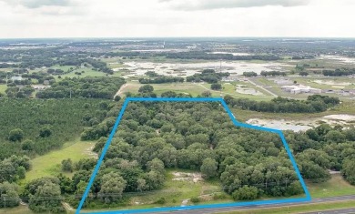 Schoolhouse Lake Area Acreage For Sale in Clermont Florida