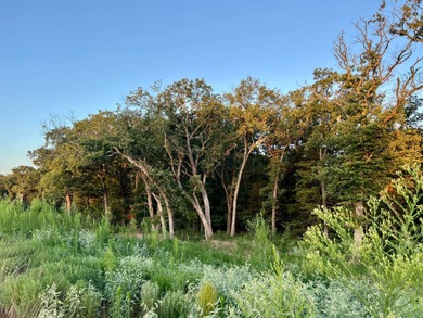 (private lake, pond, creek) Acreage For Sale in Colbert Oklahoma