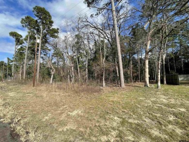 Lake Lot For Sale in Bullard, Texas