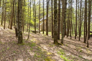Bovina forest haven. Although this modern Danish-style house was - photo 15