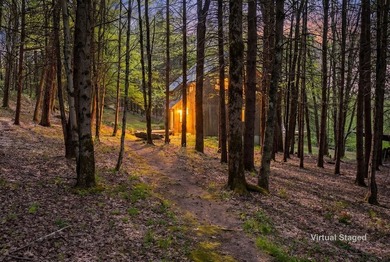 Bovina forest haven. Although this modern Danish-style house was - photo 16