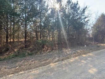 Lake Texoma Lot For Sale in Mead Oklahoma