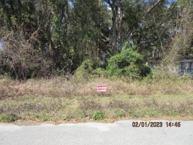Lake Lot For Sale in Ocklawaha, Florida