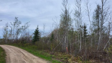 Motivated Seller! Looking for hunting land? Look no further. 40 - Lake Lot For Sale in Buyck, Minnesota