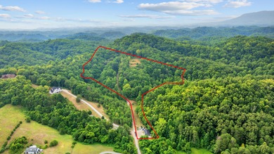 (private lake, pond, creek) Acreage For Sale in Sevierville Tennessee