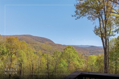 Hogback Lake Home For Sale in Sapphire North Carolina