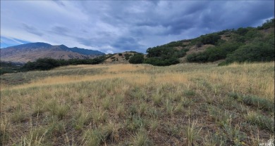 Utah Lake Acreage For Sale in Mapleton Utah