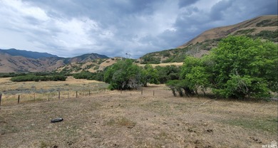 Discover this beautiful property just north of Mapleton Canyon - photo 2
