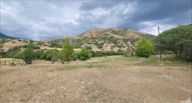 Discover this beautiful property just north of Mapleton Canyon - photo 3