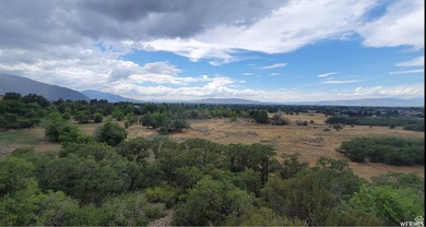 Discover this beautiful property just north of Mapleton Canyon - photo 4