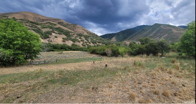 Discover this beautiful property just north of Mapleton Canyon - photo 5