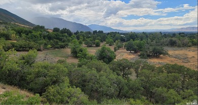 Discover this beautiful property just north of Mapleton Canyon - photo 6