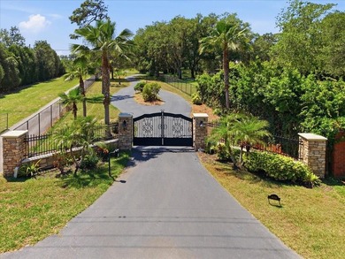 Drive down a beautiful, long, private drive to this exquisite - photo 5
