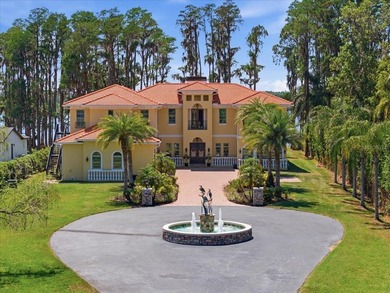 Drive down a beautiful, long, private drive to this exquisite - photo 7