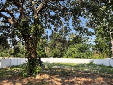 Smith Lake Lot For Sale in Belleview Florida
