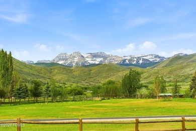 Rare, flat 3-acre homesite in the highly sought-after Farms at - photo 1