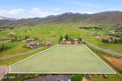 Rare, flat 3-acre homesite in the highly sought-after Farms at - photo 4