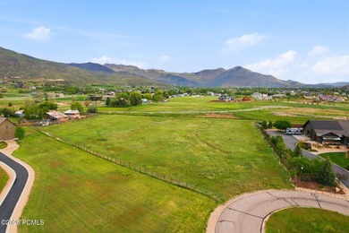 Rare, flat 3-acre homesite in the highly sought-after Farms at - photo 7