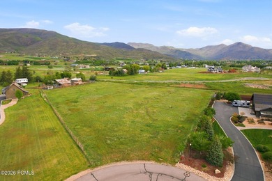 Rare, flat 3-acre homesite in the highly sought-after Farms at - photo 8