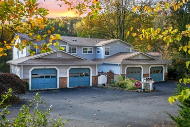 Mitchums Lake Condo For Sale in Brevard North Carolina