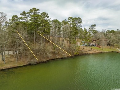 Great buildable lot directly on Lake Hamilton. Water and - photo 8