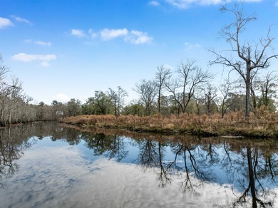 (private lake, pond, coastal) Acreage For Sale in Andrews South Carolina