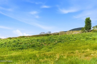 This beautiful almost 7-acre homesite is located in the - photo 3