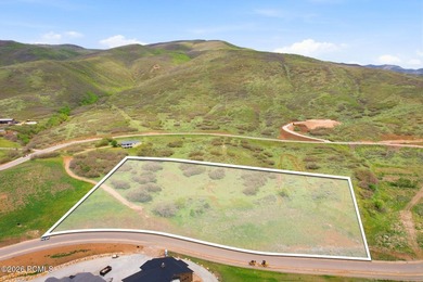 This beautiful almost 7-acre homesite is located in the - photo 8