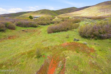 This beautiful almost 7-acre homesite is located in the - photo 10
