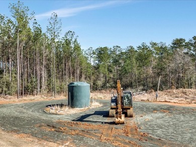 A rare opportunity for a large mixed use lake development - photo 12