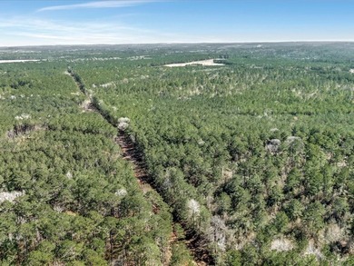 A rare opportunity for a large mixed use lake development - photo 14