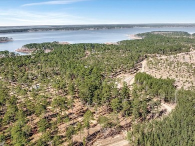A rare opportunity for a large mixed use lake development - photo 16