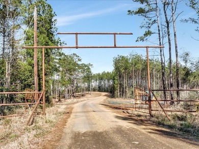 A rare opportunity for a large mixed use lake development - photo 18