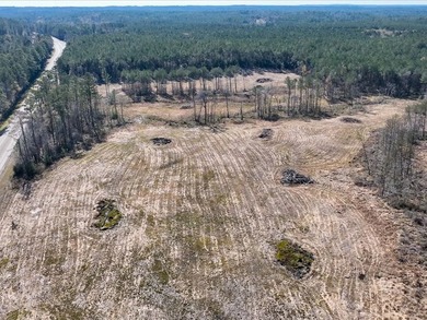A rare opportunity for a large mixed use lake development - photo 20