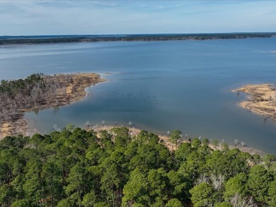 A rare opportunity for a large mixed use lake development - photo 21